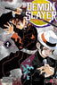 DEMON SLAYER-KIMETSU NO YAIBA N.02
