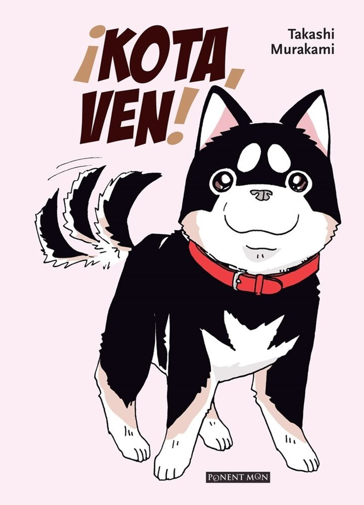 ¡VEN KOTA! Main image