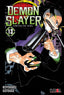 DEMON SLAYER -KIMETSU NO YAIBA N.13