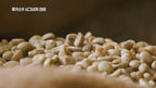 NAMYANG LOOKAS 9- VAINILLA LATTE- CAFE COREANO ( SOBRE INDIVIDUAL)