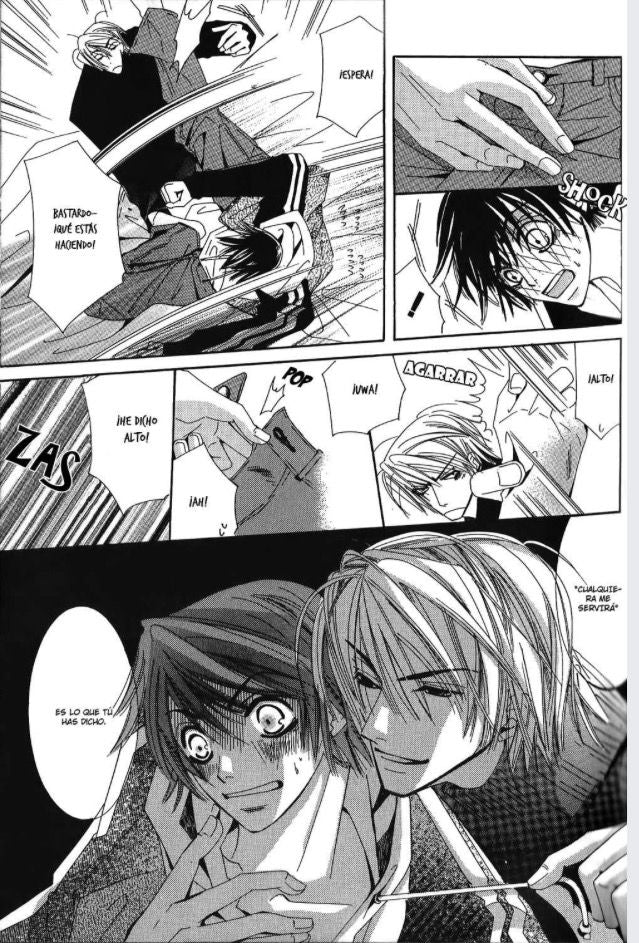 Junjo romántica #2