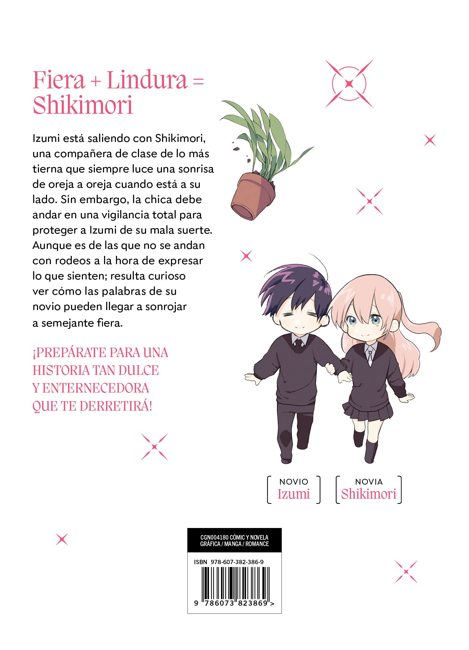 Shikimori. Es más que una cara bonita Secondary image