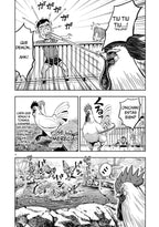 ROOSTER FIGHTER N.03