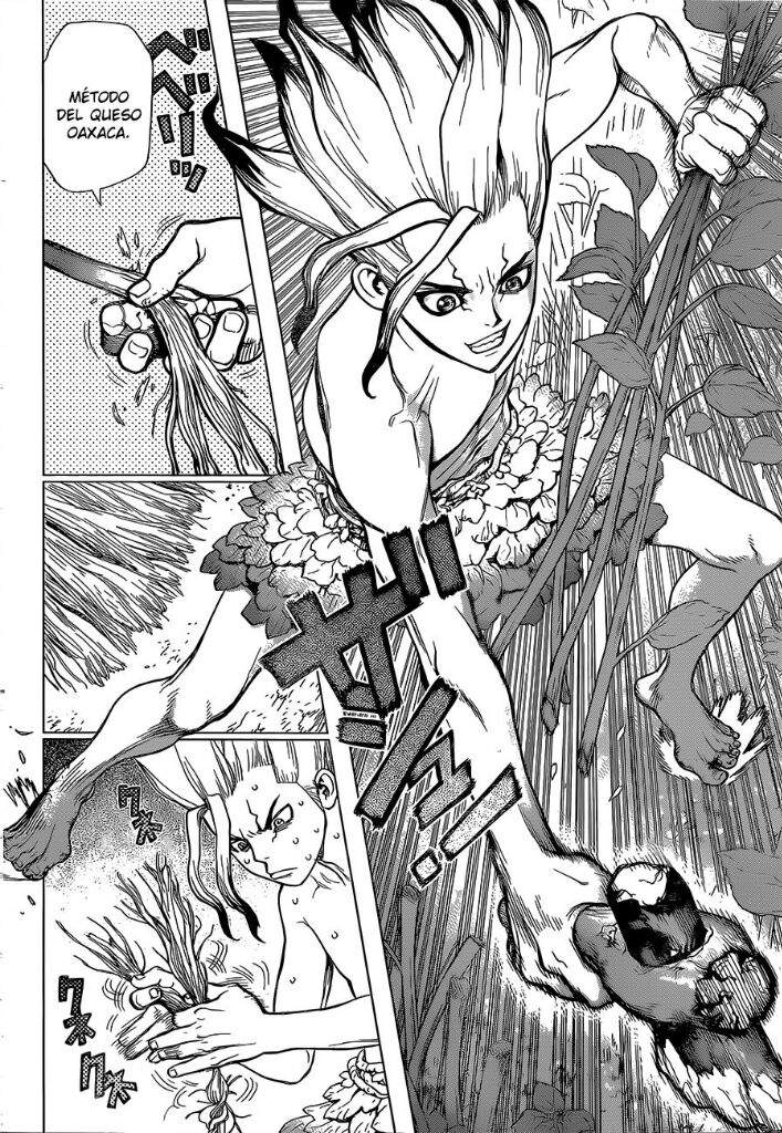 DR. STONE N.13