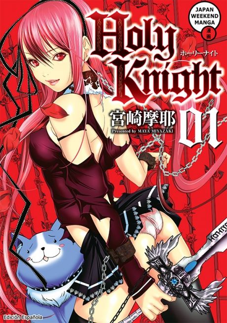 Holy knight Main image